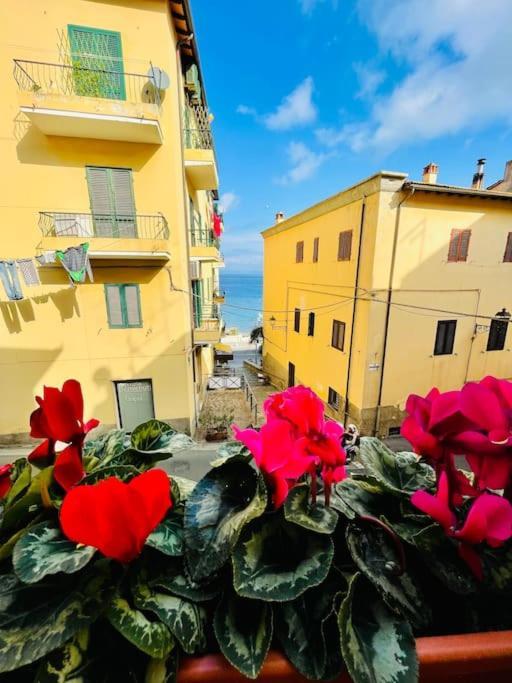 Maddy House - 50 Mt Dal Mare Villa Porto Santo Stefano  Bagian luar foto